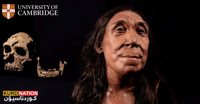 Revealed: face of 75,000-year-old female Neanderthal from cave where species buried their dead