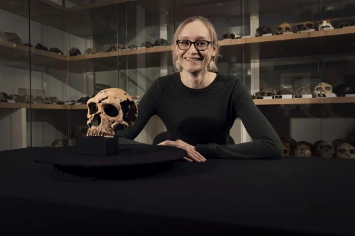 Dr Emma Pomeroy with the skull of Shanidar Z in the Henry Wellcome Building in Cambridge, home of the University’s Leverhulme Centre for Human Evolutionary Studies.